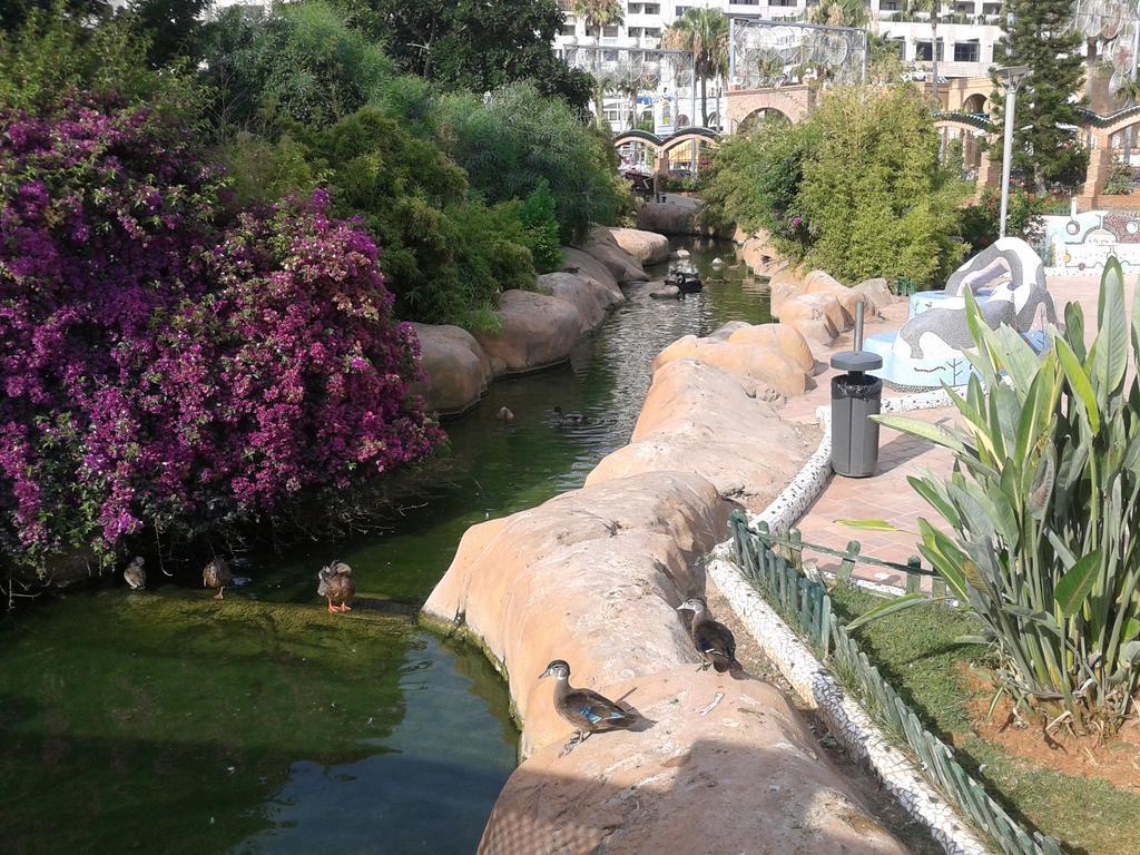 Costa Azahar Apartments Beach Oropesa del Mar Phòng bức ảnh